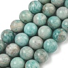 Natural Amazonite Beads Strands G-K068-03-10mm-01-2