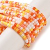 Handmade Czech Lampwork Beads Strands LAMP-L078-008B-1