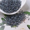 MIYUKI Delica Beads SEED-X0054-DB0179-1