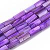Natural Freshwater Shell Beads SHEL-R047-01C-1