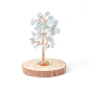 Natural Aquamarine Chips with Brass Wrapped Wire Money Tree on Wood Base Display Decorations DJEW-B007-05C-1