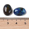 Natural Azurite Cabochons G-Q171-07A-02-3