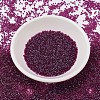MIYUKI Delica Beads SEED-MY11-DB1747-2