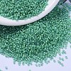 MIYUKI Delica Beads SEED-MY11-DB2053-1