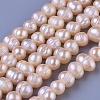 Natural Cultured Freshwater Pearl Beads Strands PEAR-E004-23-01-1