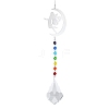 Glass Pendant Decorations PW-WG66492-04-1