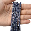 Natural Blue Spot Jasper Beads Strands G-A280-C06-01-1