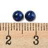 Natural Lapis Lazuli Dyed Cabochons G-H309-03-51-3