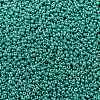MIYUKI Round Rocailles Beads X-SEED-G008-RR0435-3