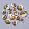 Natural Shell Cabochons SSHEL-S258-93-2