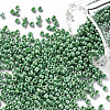 (Repacking Service Available) Glass Seed Beads SEED-C021-2mm-127-1
