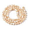 Natural Trochid Shell/Trochus Shell Beads Strands SSHEL-S266-023B-02-2