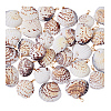 30Pcs Natural Shell Pendants PALLOY-PH01839-6