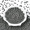 6/0 Baking Paint Glass Round Seed Beads SEED-S036-01C-09-2