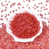 6/0 Gradient Color Glass Seed Beads SEED-N007-36G-2