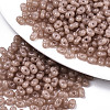Grade A Glass Seed Beads X-SEED-R050-2370-4