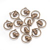 Alloy Pendants X-EA9508Y-AB-1