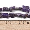 Natural Charoite Beads Strands G-D101-B17-5