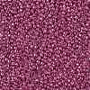 TOHO 11/0 Round Beads SEED-TR11-PF0563-2