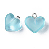 Transparent Resin Pendants RESI-R429-30J-2