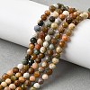 Natural Agate Beads Strands G-G991-A03-A-01A-8