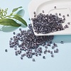 6/0 Glass Seed Beads SEED-YW0001-25D-6
