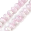 Handmade Lampwork Beads Strands LAMP-T007-13K-1