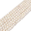 Natural Cultured Freshwater Pearl Beads Strands PEAR-E016-150-1