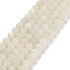 Natural White Moonstone Beads Strands X-G-D294-8mm-1