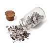 Transparent Glass Wishing Bottle Decoration GG-CBAF5F4-07-2