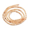 Natural Citrine(Heated) Beads Strands LS-G-RM250104-A8-4