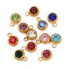 Birthstone 201 Stainless Steel Rhinestone Charms STAS-G368-01G-2