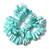 Dyed Natural Trochus Shell Beads Strands SSHEL-C013-09M-2