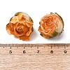 Brass Epoxy Resin Pendants FIND-D043-01G-06-3