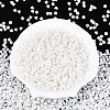 Baking Paint Glass Seed Beads SEED-N007-30L-1