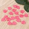 Transparent Acrylic Pendants PL591-3-4
