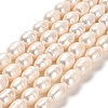 Natural Cultured Freshwater Pearl Beads Strands PEAR-E016-067-1