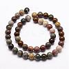 Natural New Ocean Jasper Bead Strands G-G954-01-10mm-2