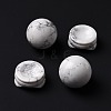 Natural Howlite Display Decorations DJEW-G032-02J-4