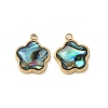 Natural Paua Shell Pendants STAS-G397-12G-02-1