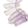 Natural Amethyst Beads Strands G-S386-D04-4