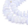 Natural Blue Lace Agate Beads  Strands G-E569-J02-3