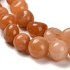 Natural Red Aventurine Beads Strands G-P497-01E-82B-4