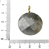 Natural Labradorite Faceted Pendants G-A287-02G-13-3