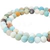 Frosted Natural Flower Amazonite Bead Strands G-PH0028-8mm-03-2