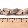 Natural Sunstone Beads Strands G-S386-C01-5