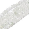 Natural Tianshan Cui Quartzite Beads Strands X-G-B046-01D-1