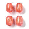 Resin European Beads RESI-F055-11B-1