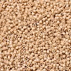 MIYUKI Delica Beads LS-X-SEED-J020-DB0389-3