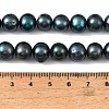 Dyed Natural Cultured Freshwater Pearl Beads Strands PEAR-L034-18A-5